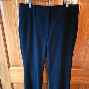 Ann Taylor Dress Pants